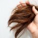 Healthy Diet Important for Preventing Hair Loss?